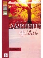 Biblia anglielska Amplified Biblie